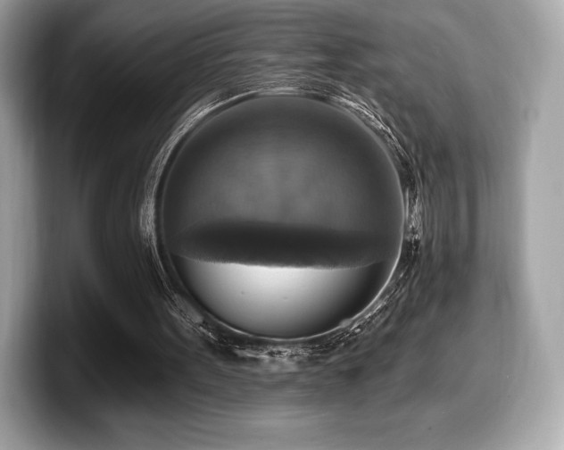 X0000099950099200805231329