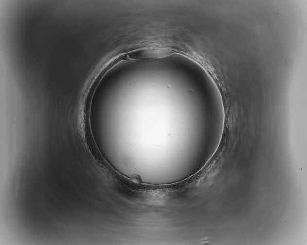 X0000099950103200805231329