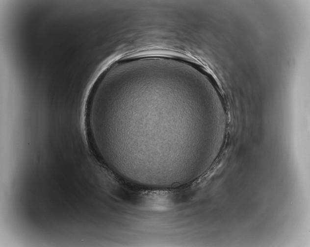 X0000099950104200805231329