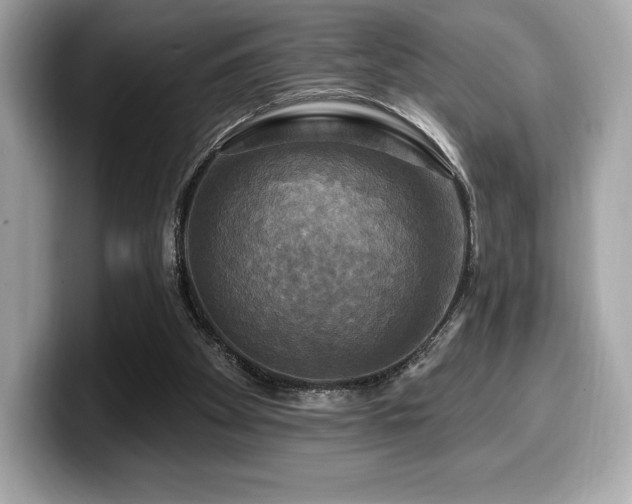 X0000099950105200805231329