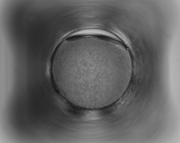 X0000099950107200805231329