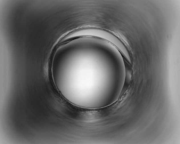 X0000099950108200805231329