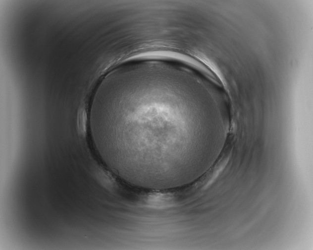 X0000099950109200805231329