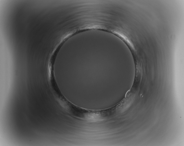 X0000099950110200805231329