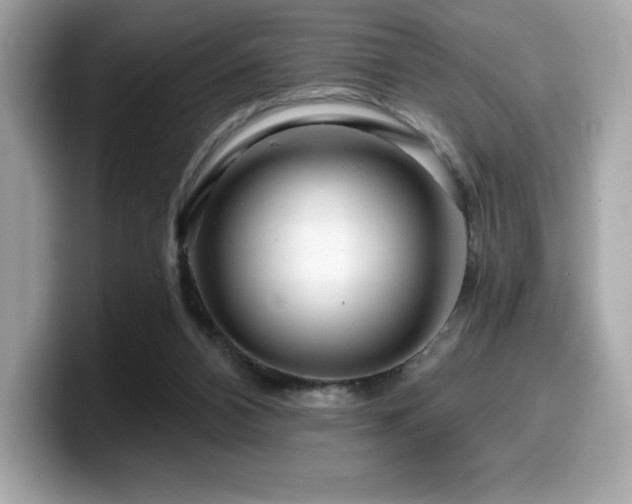 X0000099950112200805231329