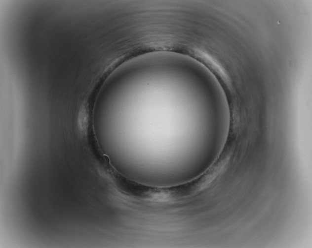 X0000099950113200805231329