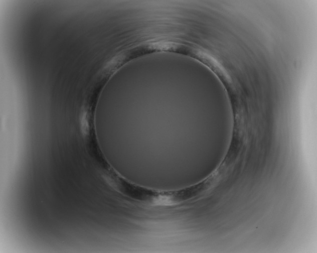 X0000099950114200805231329