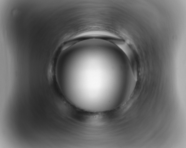 X0000099950116200805231329