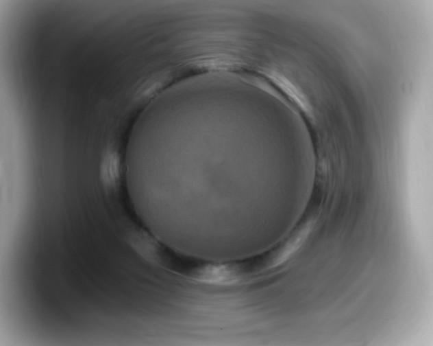 X0000099950117200805231329