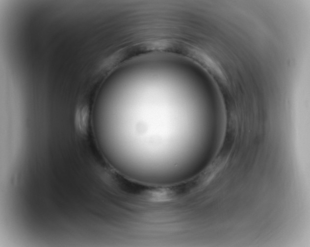 X0000099950118200805231329