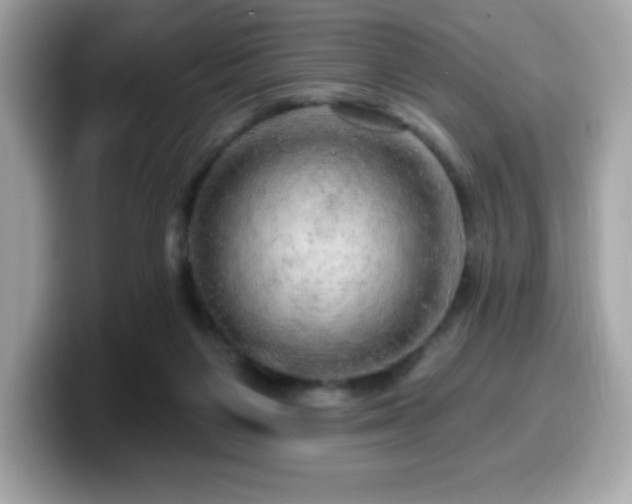 X0000099950119200805231329