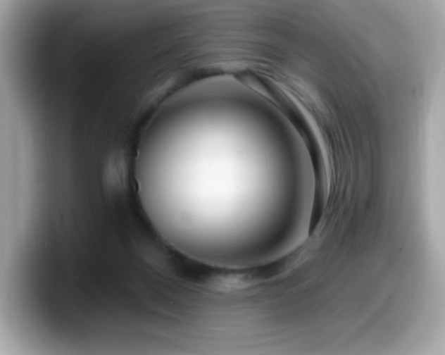 X0000099950120200805231329
