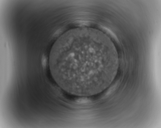 X0000099950123200805231329
