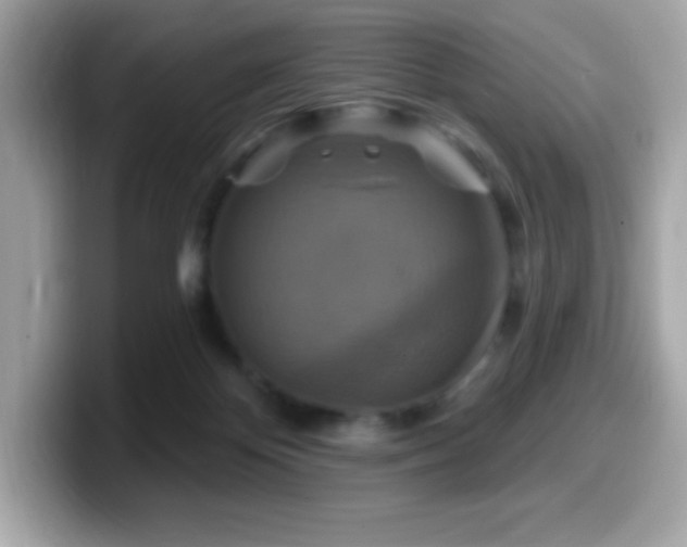 X0000099950124200805231329