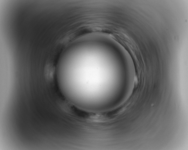 X0000099950125200805231329