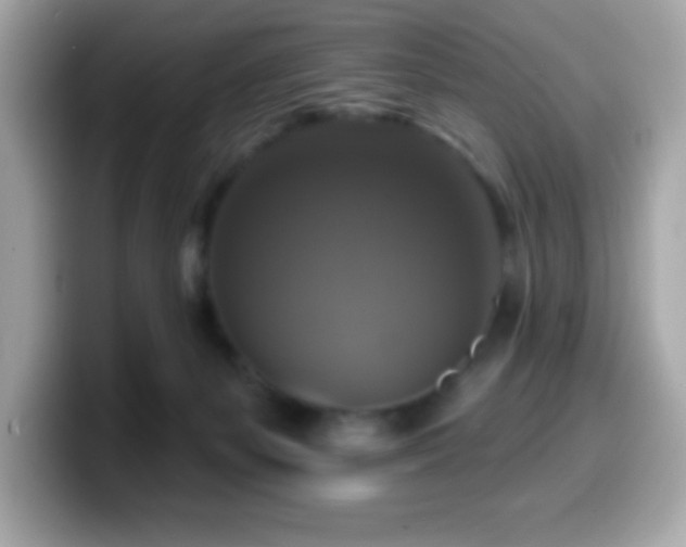 X0000099950127200805231329