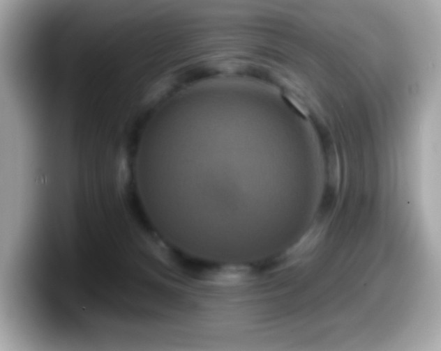 X0000099950128200805231329