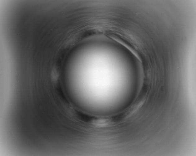 X0000099950129200805231329