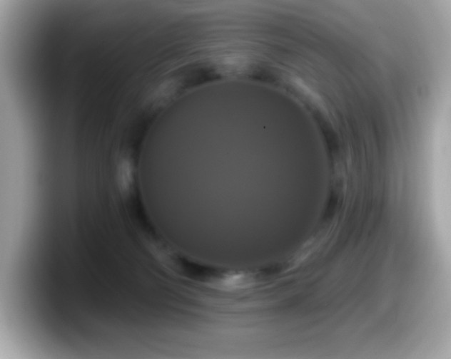 X0000099950130200805231329