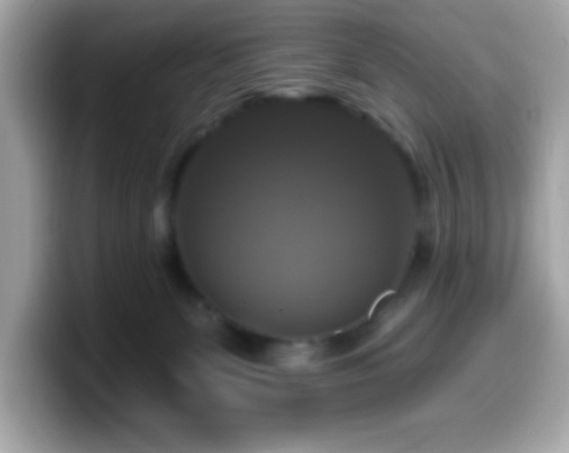 X0000099950131200805231329