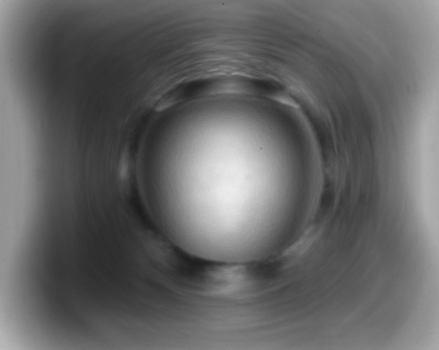 X0000099950132200805231329