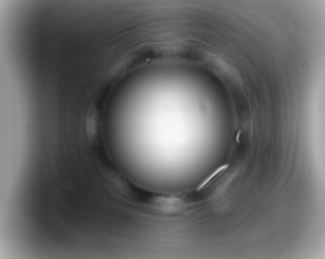 X0000099950133200805231329