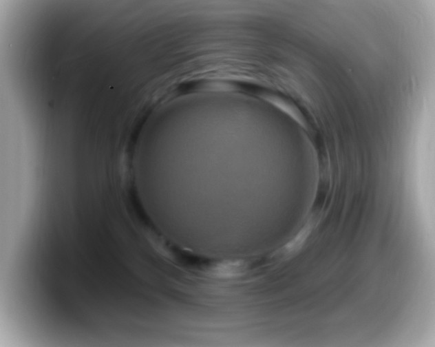 X0000099950136200805231329