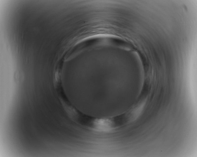 X0000099950137200805231329
