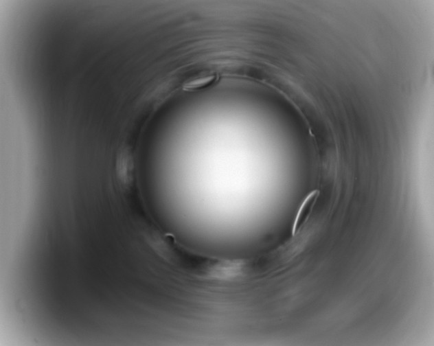 X0000099950138200805231329