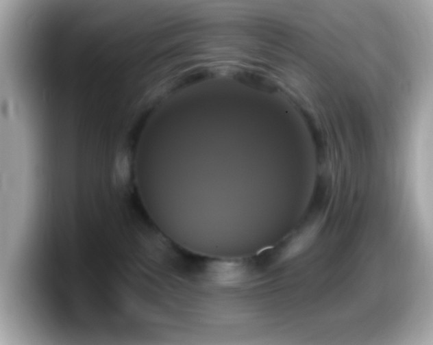 X0000099950139200805231329