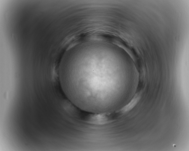 X0000099950140200805231329