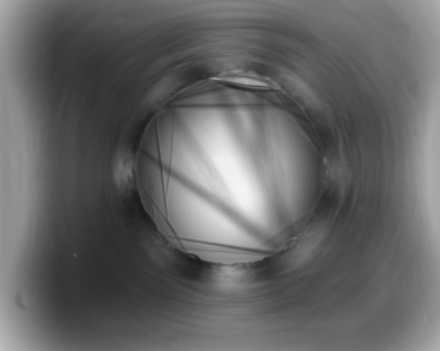 X0000099950141200805231329