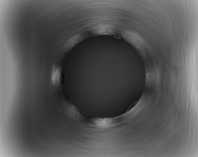 X0000099950142200805231329