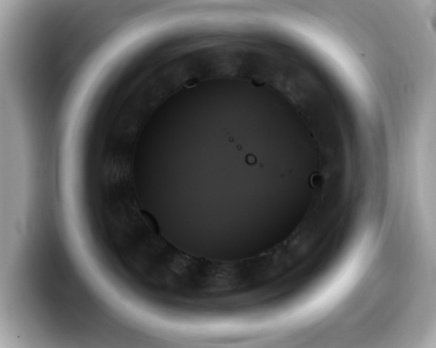 X0000099950143200805231329