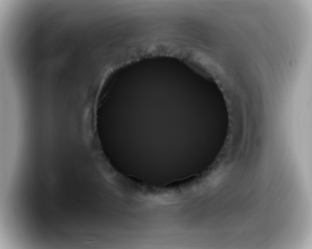 X0000099950144200805231329