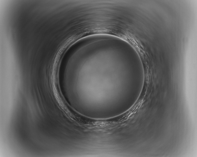 X0000099950145200805231328