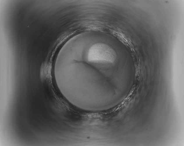 X0000099950146200805231328
