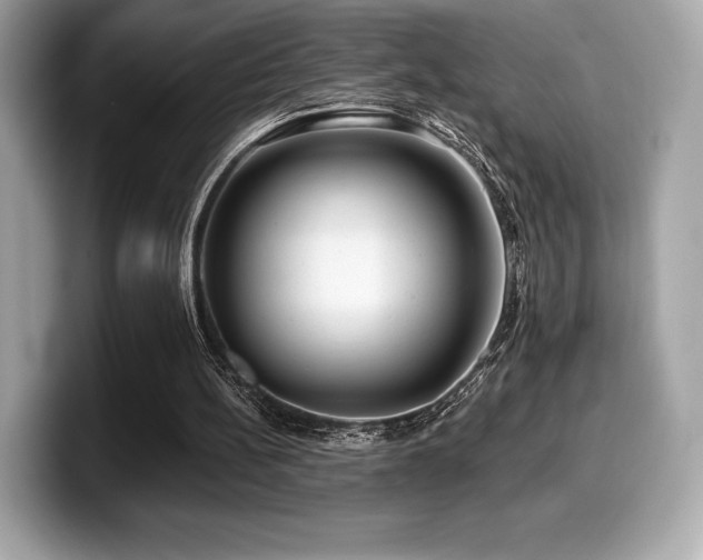 X0000099950148200805231328