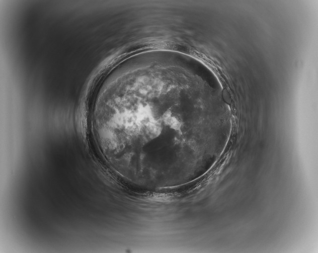 X0000099950149200805231328