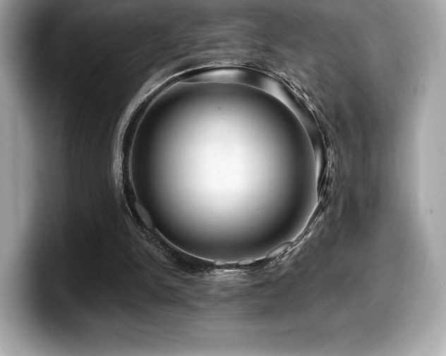 X0000099950150200805231328