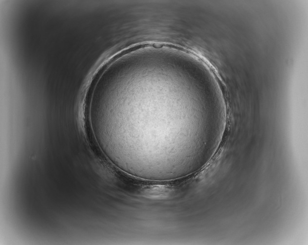 X0000099950151200805231328