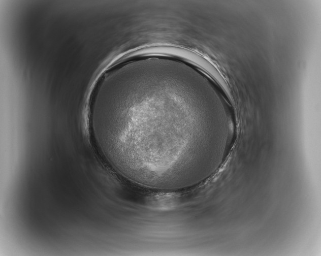 X0000099950152200805231328
