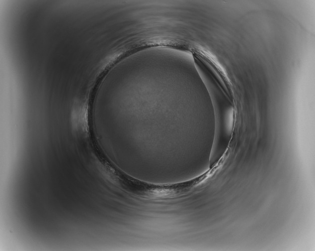 X0000099950154200805231328