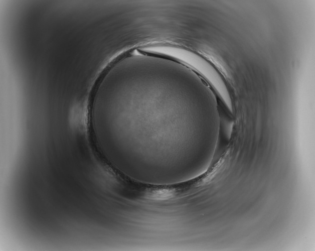 X0000099950156200805231328