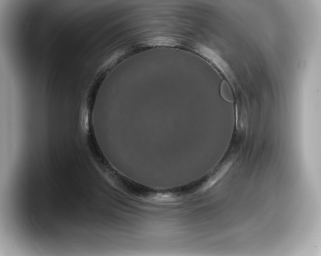 X0000099950157200805231328