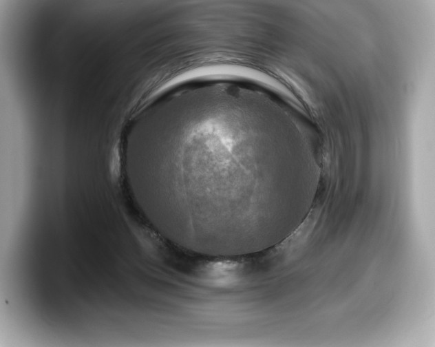 X0000099950158200805231328