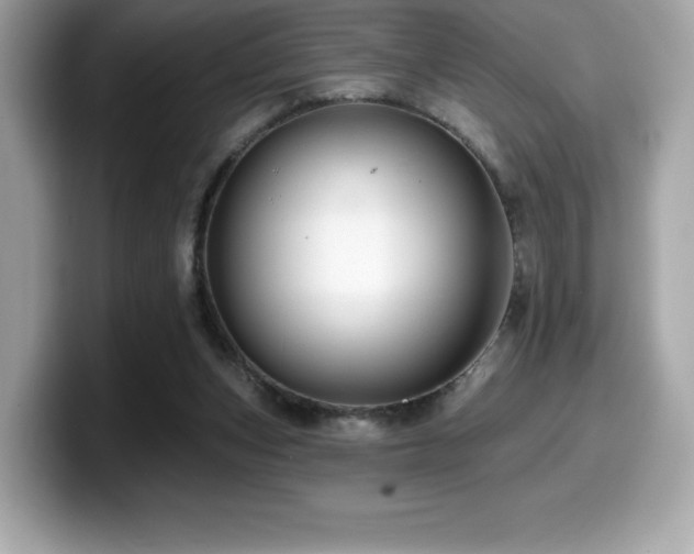 X0000099950159200805231328