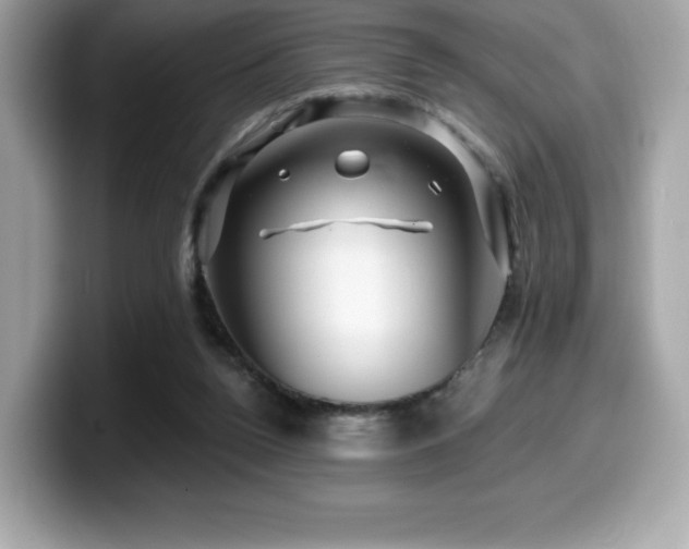 X0000099950160200805231328