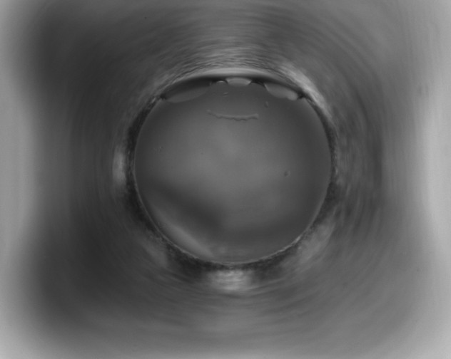 X0000099950161200805231328