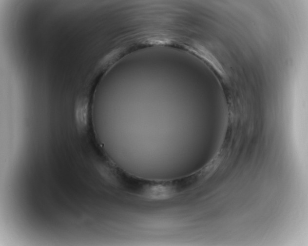 X0000099950163200805231328